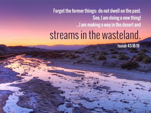 streams in the desert